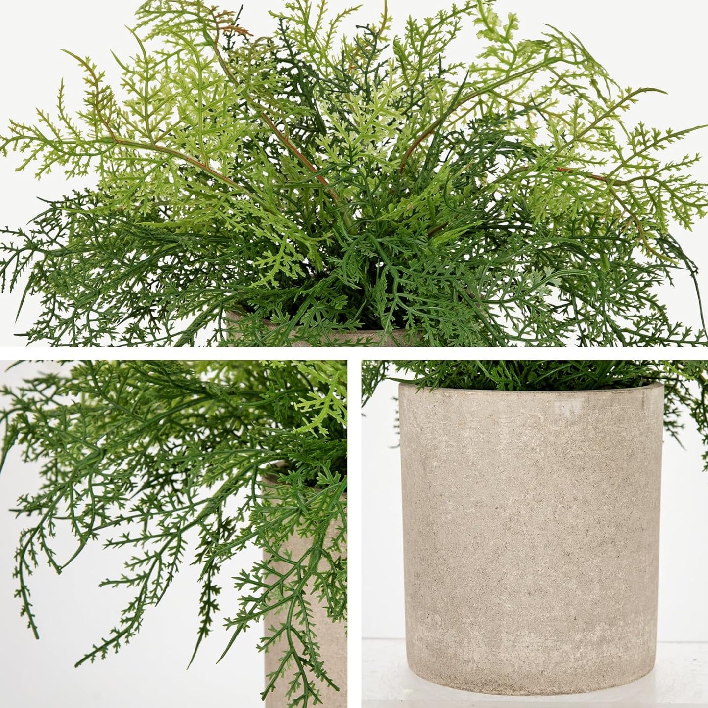 Small Fake Plant Potted Plants Artificial Decor Plastic Asparagus Ferns Plant Faux Plants in Pots for Home Living Room Bedroom Desk Shelf Farmhouse Decoration