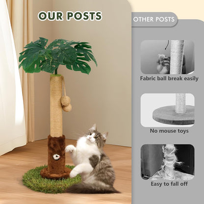 Cat Scratching Post for Indoor Cats and Kitten - 35.43" Tall Cat Scratching Post with Sisal Rope,Palm Tree Cat Scratch Post with Hanging Ball
