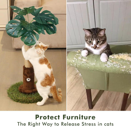 Cat Scratching Post for Indoor Cats and Kitten - 35.43" Tall Cat Scratching Post with Sisal Rope,Palm Tree Cat Scratch Post with Hanging Ball