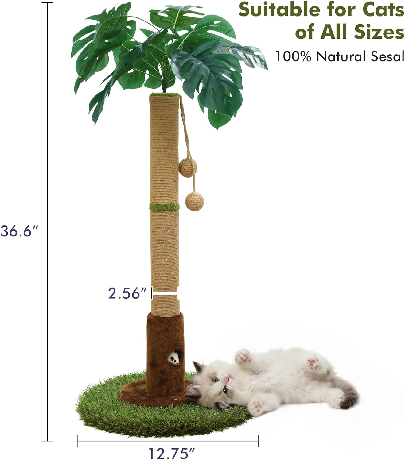 Cat Scratching Post for Indoor Cats and Kitten - 35.43" Tall Cat Scratching Post with Sisal Rope,Palm Tree Cat Scratch Post with Hanging Ball