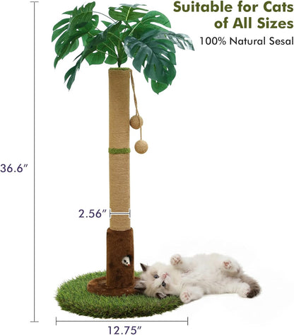 Cat Scratching Post for Indoor Cats and Kitten - 35.43" Tall Cat Scratching Post with Sisal Rope,Palm Tree Cat Scratch Post with Hanging Ball