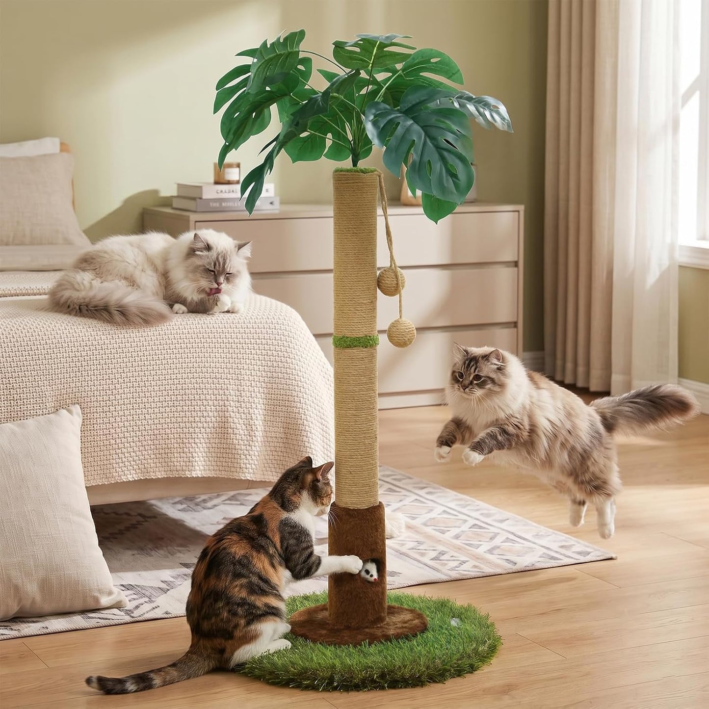 Cat Scratching Post for Indoor Cats and Kitten - 35.43" Tall Cat Scratching Post with Sisal Rope,Palm Tree Cat Scratch Post with Hanging Ball