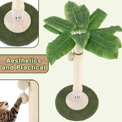 Cat Scratching Post for Indoor Cats and Kitten - 35.43" Tall Cat Scratching Post with Sisal Rope,Palm Tree Cat Scratch Post with Hanging Ball