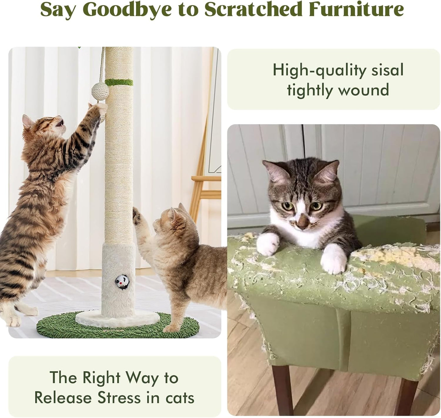 Cat Scratching Post for Indoor Cats and Kitten - 35.43" Tall Cat Scratching Post with Sisal Rope,Palm Tree Cat Scratch Post with Hanging Ball