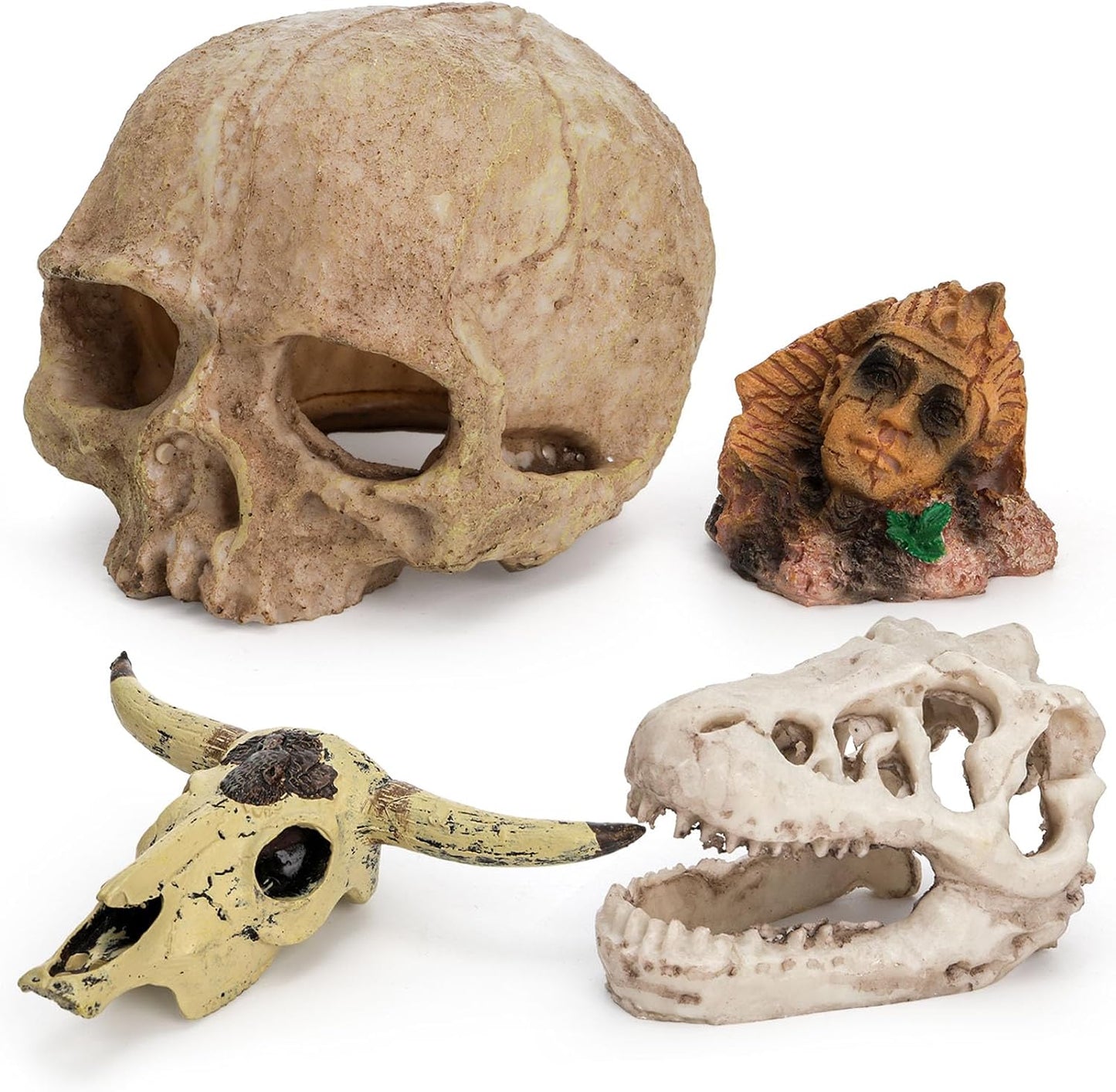 Lawei 4 Pieces Aquarium Resin Skull Ornaments, Desert Reptile Hideouts Decorations, Human Skeleton Dinosaur Cattle Skull for Fish Tanks Decorative, Small Decor Statue Cave Landscape Pet Reptile House