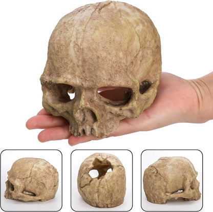 Lawei 4 Pieces Aquarium Resin Skull Ornaments, Desert Reptile Hideouts Decorations, Human Skeleton Dinosaur Cattle Skull for Fish Tanks Decorative, Small Decor Statue Cave Landscape Pet Reptile House