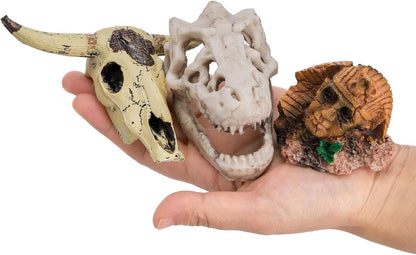 Lawei 4 Pieces Aquarium Resin Skull Ornaments, Desert Reptile Hideouts Decorations, Human Skeleton Dinosaur Cattle Skull for Fish Tanks Decorative, Small Decor Statue Cave Landscape Pet Reptile House