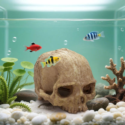 Lawei 4 Pieces Aquarium Resin Skull Ornaments, Desert Reptile Hideouts Decorations, Human Skeleton Dinosaur Cattle Skull for Fish Tanks Decorative, Small Decor Statue Cave Landscape Pet Reptile House