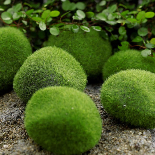Tank Decoration Artificial Moss Stone Resin Water Plant Setting Green Grass Ball Decorative Plants Scenery 3Pcs(M)