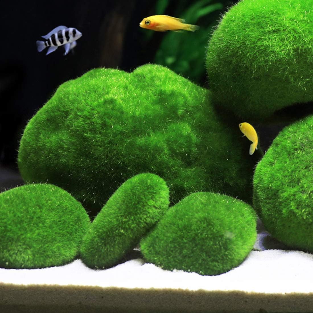 Tank Decoration Artificial Moss Stone Resin Water Plant Setting Green Grass Ball Decorative Plants Scenery 3Pcs(M)