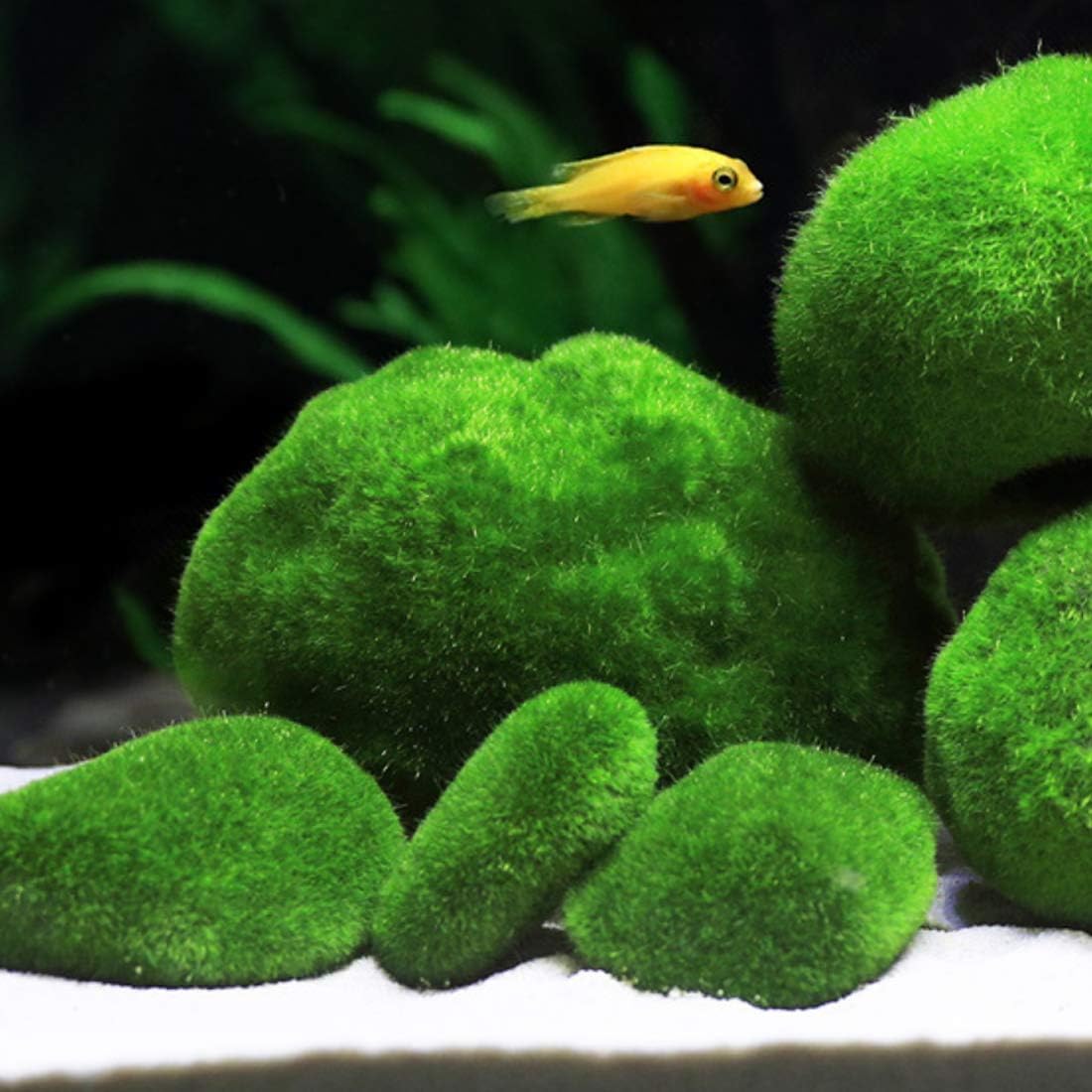 Tank Decoration Artificial Moss Stone Resin Water Plant Setting Green Grass Ball Decorative Plants Scenery 3Pcs(M)