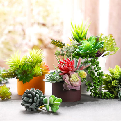 40 Pieces Artificial Succulent Plants Faux Realistic Unpotted Mini Succulents for DIY Garden Home Office Indoor Decor (Fresh)