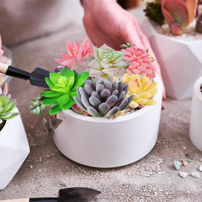 40 Pieces Artificial Succulent Plants Faux Realistic Unpotted Mini Succulents for DIY Garden Home Office Indoor Decor (Fresh)