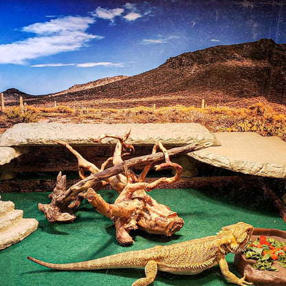 2 Pack Reptile Carpet, 39’’ x 20’’ Terrarium Bedding Substrate Liner Reptile Cage Mat Tank Accessories for Bearded Dragon Lizard Tortoise Leopard Gecko Snake (Green)
