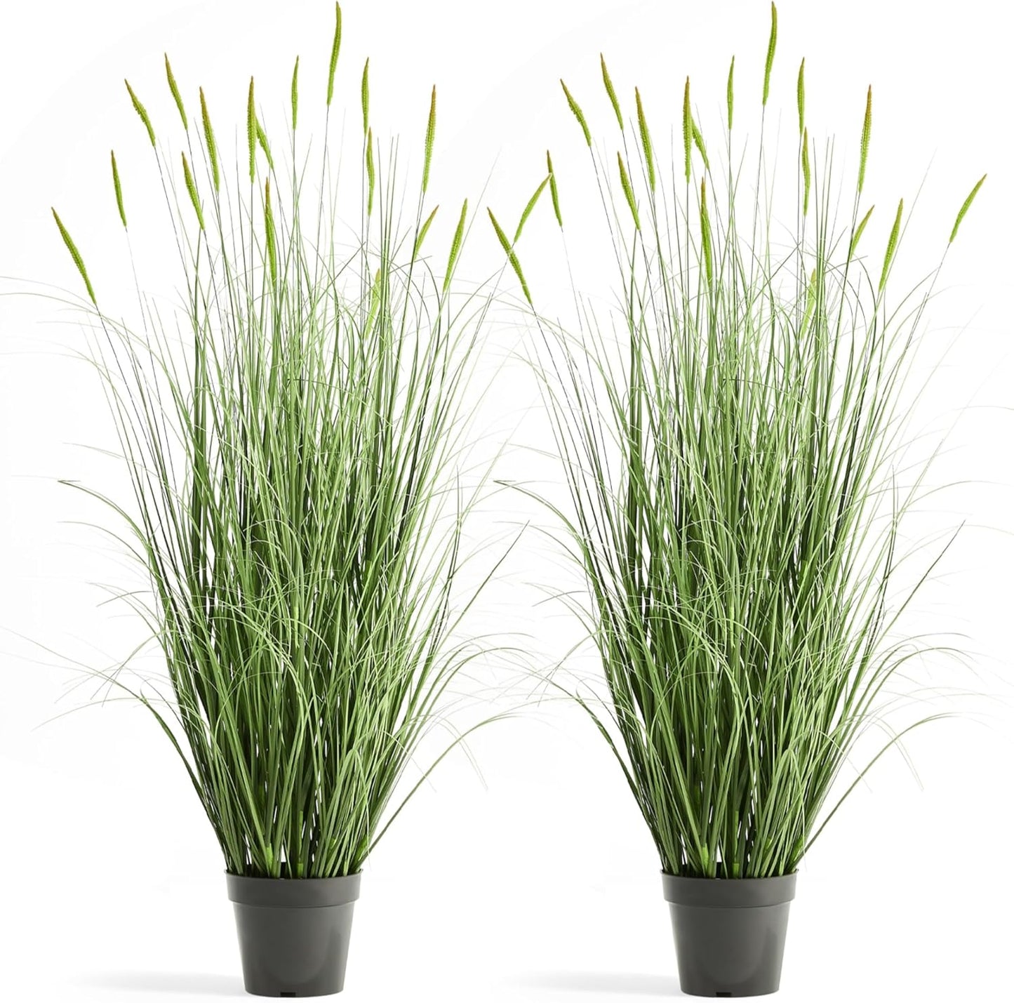 Faux 4ft 2-Pack Horsetail Reed Grass with Green Spikes, 48in Tall Indoor Outdoor Fake Grass in Pot, Home Office Decorative Artificial Plant & Greenery, Wedding Decor Bristlegrass