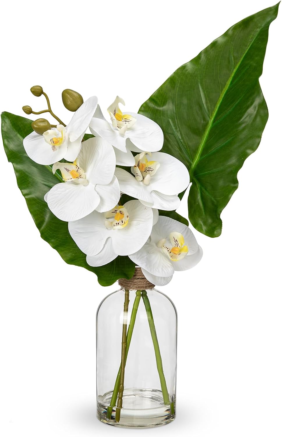 Faux Greenery Stems in Glass Vase with Faux Water, Silk Alocasia Realistic Fake Plants Artificial Tropical Leaves for Home Office Farmhouse Wedding Centerpiece Décor