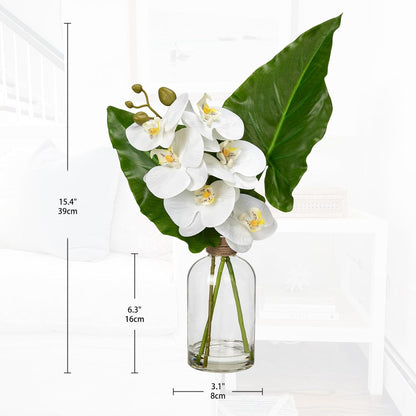Faux Greenery Stems in Glass Vase with Faux Water, Silk Alocasia Realistic Fake Plants Artificial Tropical Leaves for Home Office Farmhouse Wedding Centerpiece Décor