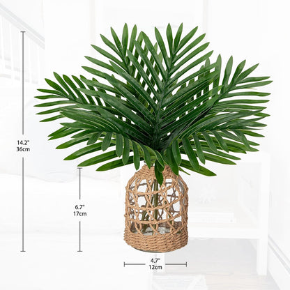 Faux Greenery Stems in Glass Vase with Faux Water, Silk Alocasia Realistic Fake Plants Artificial Tropical Leaves for Home Office Farmhouse Wedding Centerpiece Décor