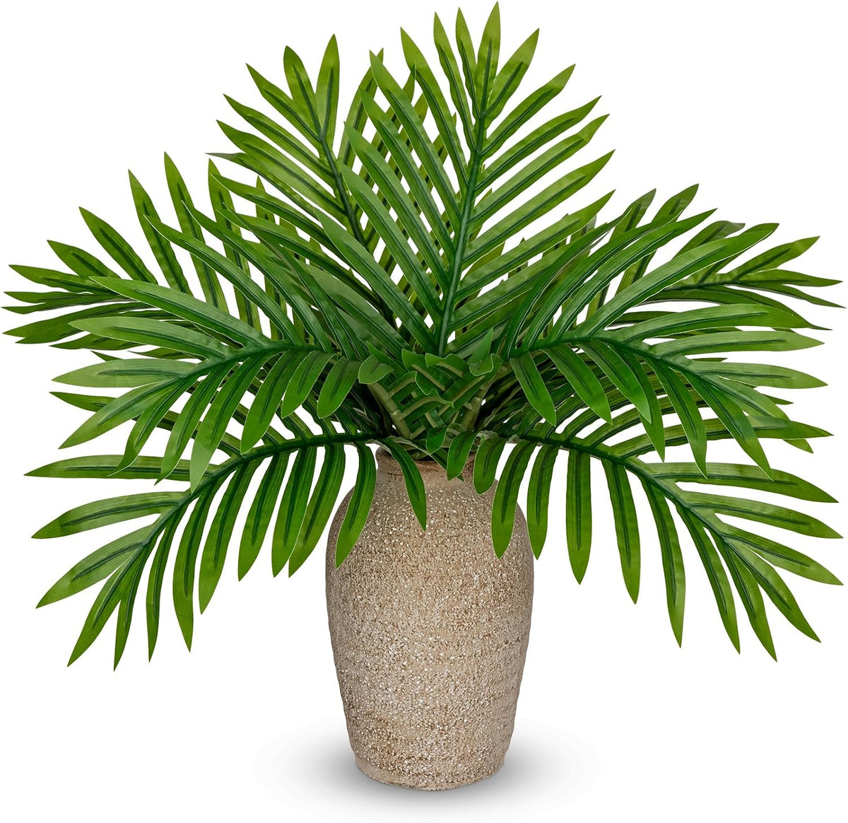 Faux Greenery Stems in Glass Vase with Faux Water, Silk Alocasia Realistic Fake Plants Artificial Tropical Leaves for Home Office Farmhouse Wedding Centerpiece Décor