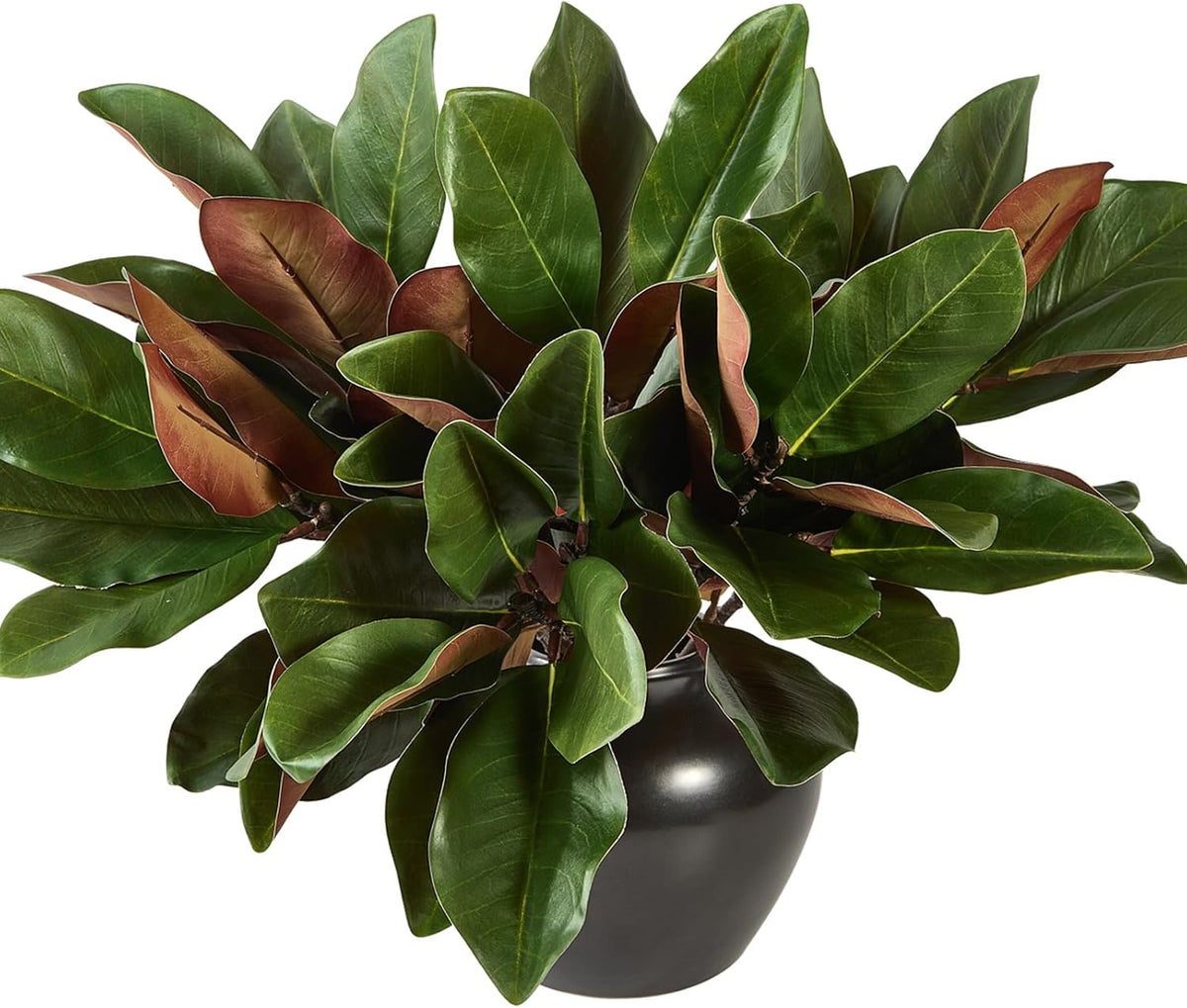 Magnolia Artificial Leaves Branches 22 Inch 3D Real Touch Faux Magnolia Stems Fake Magnolia Twigs for Indoor Outdoor Vase Filling Home Wedding Floral Arrangement Decoration