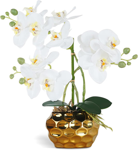 Artificial Orchid Flowers & Plants Potted in Ceramic Pot, White Faux Phalaenopsis Orchids for Table Centerpiece, Realistic Fake Flower Arrangement for Home Office Decor Indoor