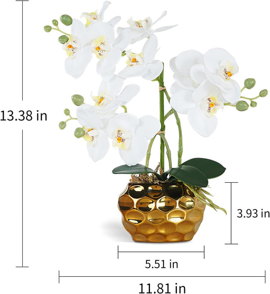 Artificial Orchid Flowers & Plants Potted in Ceramic Pot, White Faux Phalaenopsis Orchids for Table Centerpiece, Realistic Fake Flower Arrangement for Home Office Decor Indoor