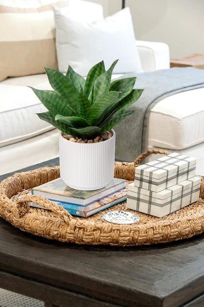 Artificial Agave Succulent Plants Faux Snake Plant Fake Succulent Agave Plants Potted in White Pot Succulent Aloe Plant for Desk Modern Office Living Room Table Shelf Home Indoor Outdoor Decor
