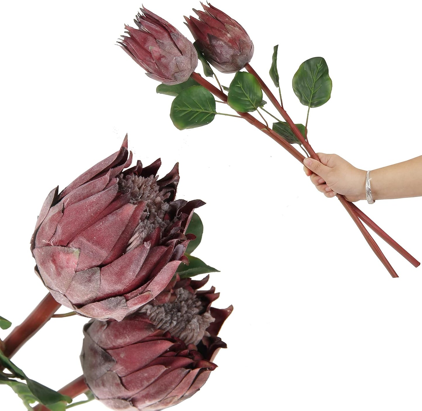 4pcs Artificial Protea Flower Buds,26 Inch Super Long Stem Faux Protea Artificial Flower Bud, Silk Protea Bud for Home Decor Centerpiece Crafts Wedding Bouquet,Dark Red