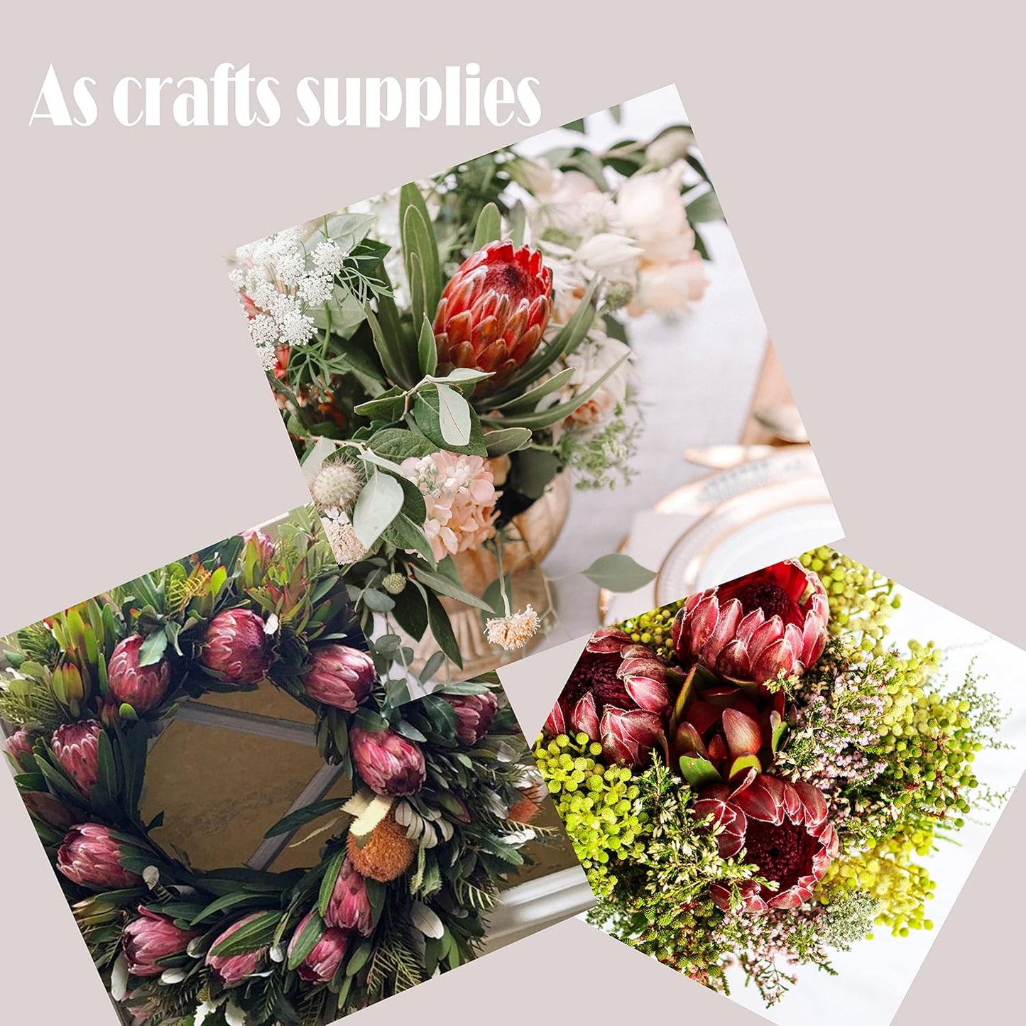 4pcs Artificial Protea Flower Buds,26 Inch Super Long Stem Faux Protea Artificial Flower Bud, Silk Protea Bud for Home Decor Centerpiece Crafts Wedding Bouquet,Dark Red