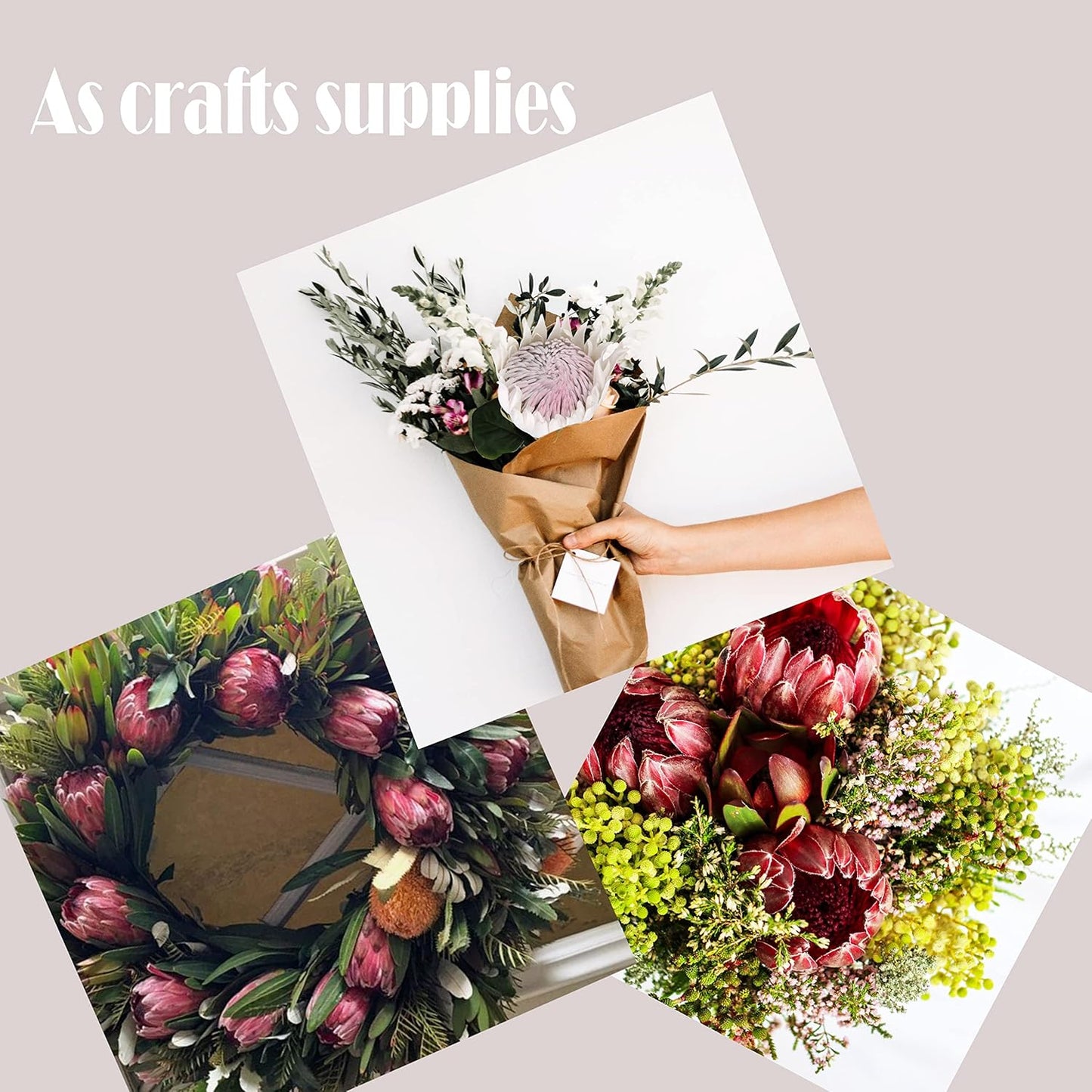 4pcs Artificial Protea Flower Buds,26 Inch Super Long Stem Faux Protea Artificial Flower Bud, Silk Protea Bud for Home Decor Centerpiece Crafts Wedding Bouquet,Dark Red