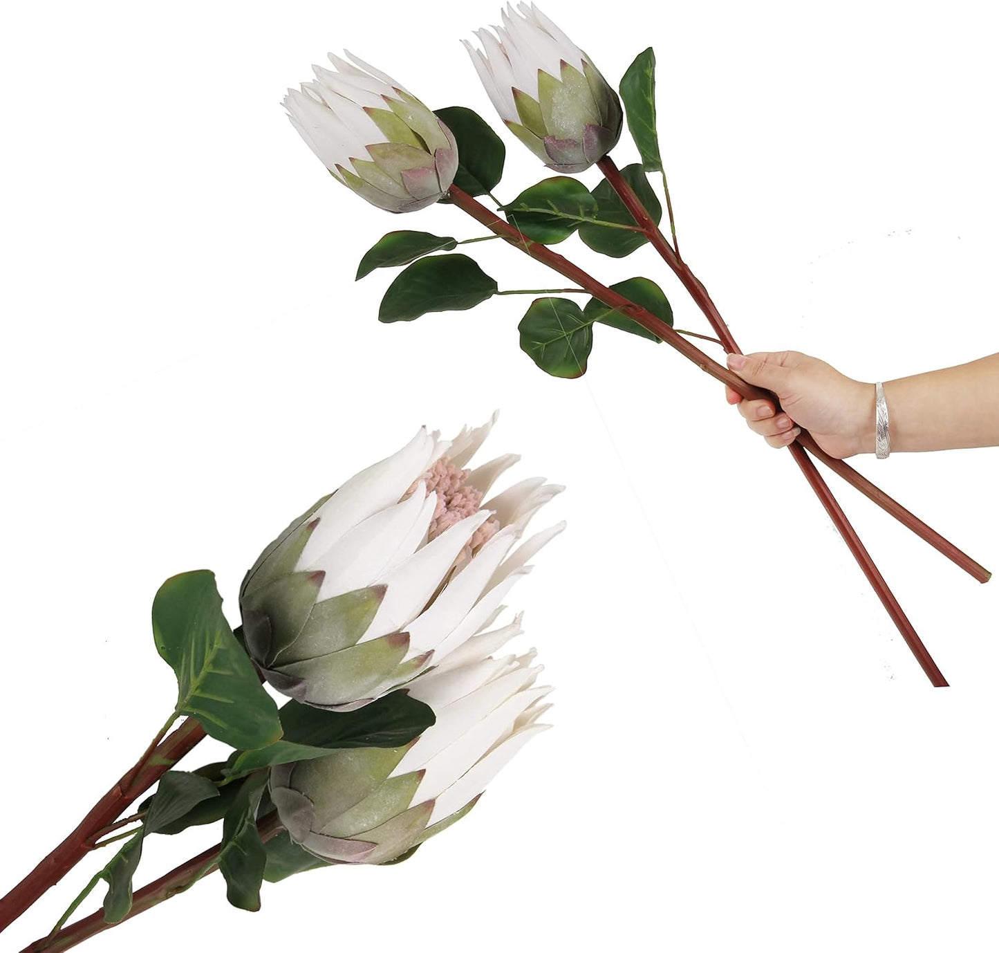 4pcs Artificial Protea Flower Buds,26 Inch Super Long Stem Faux Protea Artificial Flower Bud, Silk Protea Bud for Home Decor Centerpiece Crafts Wedding Bouquet,Dark Red