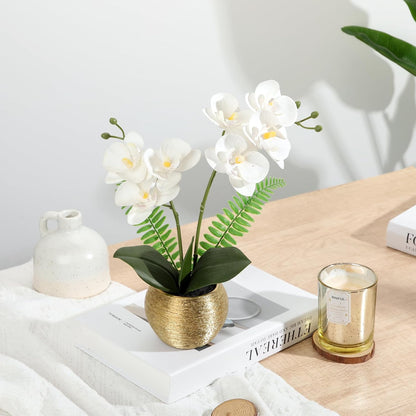Artificial Orchid Flowers in Gold Ceramic Pot, 13" Small White Faux Phalaenopsis Orchid Floral Arrangement Fake Silk Orchid for Bathroom Vanity Office Desk Shelf Nightstand Home Table Decor