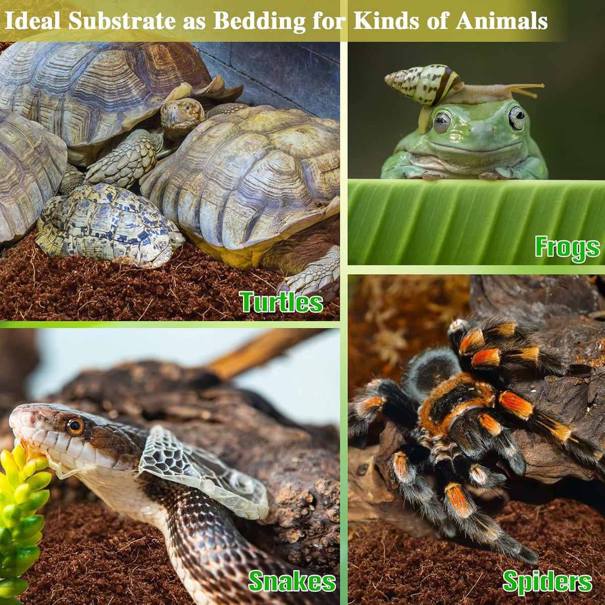 2 Pack Coconut Fiber Substrate, Premium Coco Coir Reptile Substrate