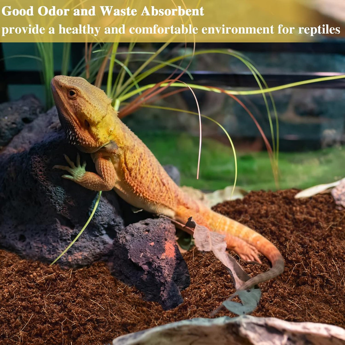 2 Pack Coconut Fiber Substrate, Premium Coco Coir Reptile Substrate