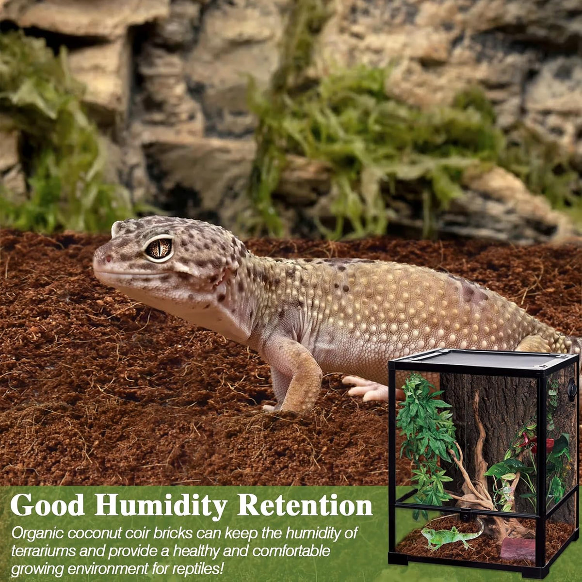 2 Pack Coconut Fiber Substrate, Premium Coco Coir Reptile Substrate