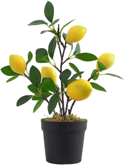 Artificial Potted Plant Lemon Decoration Plant Fake Pomegranate, Mini Tree Potted Fake Plant, Used for Home Office Decoration (Pomegranate-Large)