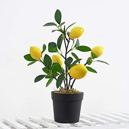 Artificial Potted Plant Lemon Decoration Plant Fake Pomegranate, Mini Tree Potted Fake Plant, Used for Home Office Decoration (Pomegranate-Large)