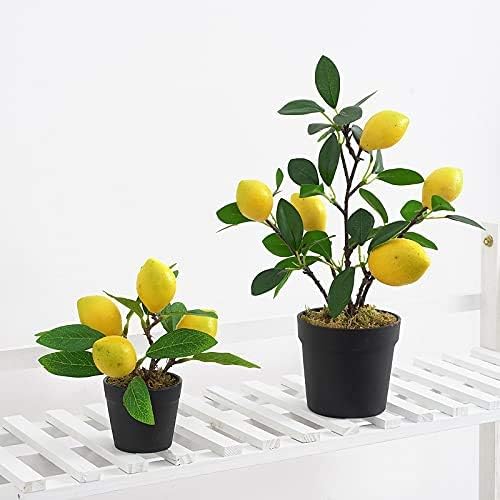 Artificial Potted Plant Lemon Decoration Plant Fake Pomegranate, Mini Tree Potted Fake Plant, Used for Home Office Decoration (Pomegranate-Large)