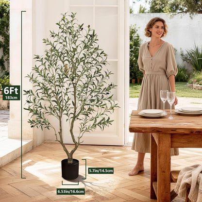 Olive Trees Artificial Indoor: 96% Lifelike - Can't Tell from 6ft