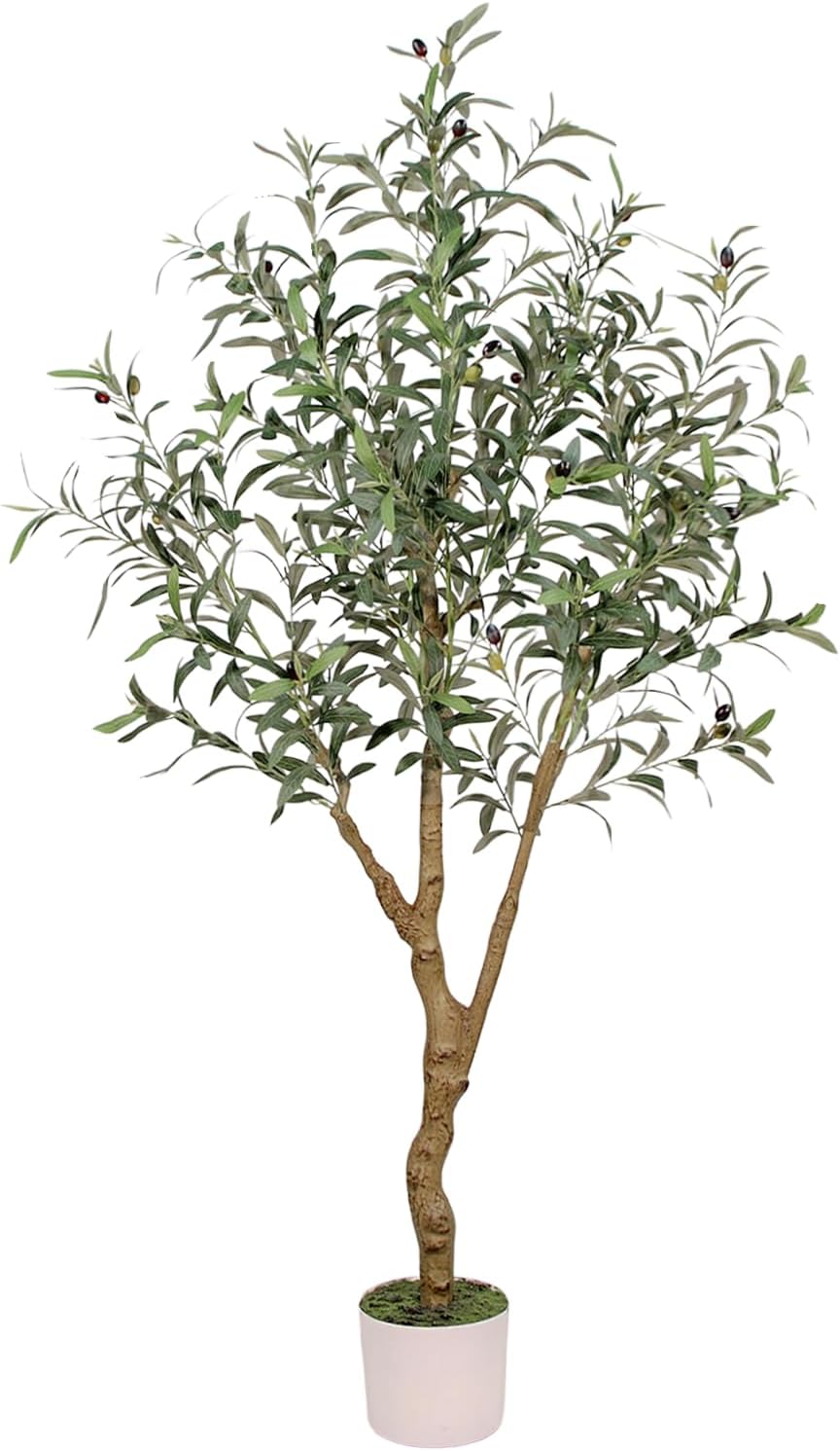 6FT Olive Trees Artificial Indoor - Realistic Artificial Olive Tree Indoor with White Planter, Large Full Fake Plants with Lifelike Fruits and Leaves for Modern Home Office Living Room Decor