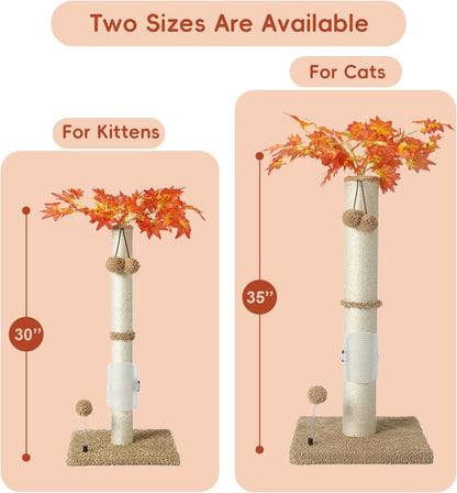 Cat Scartching Post，30-inch Cute Scartching Posts for Indoor Cats and Kittens,Natural Sisal Rope and Hanging Ball Toy, Self-Grooming Brush,Green