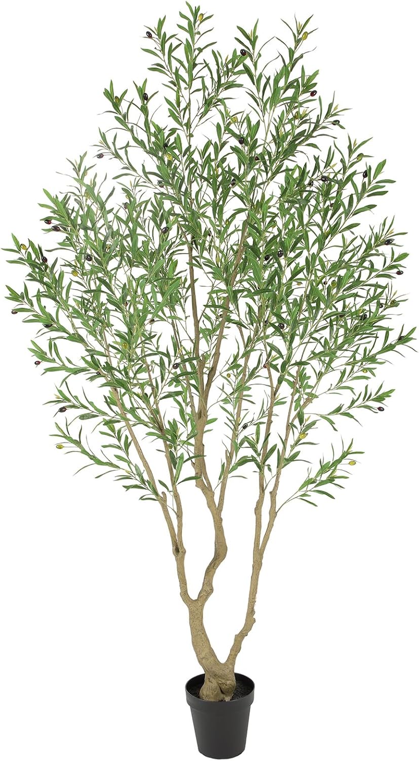 Faux Olive Tree 7ft，Olive Trees Artificial Indoor with Natural Wood Trunk and Realistic Leaves and Fruits. 7 Feet(84in) Fake Olive Tree for Home House Office Décor.