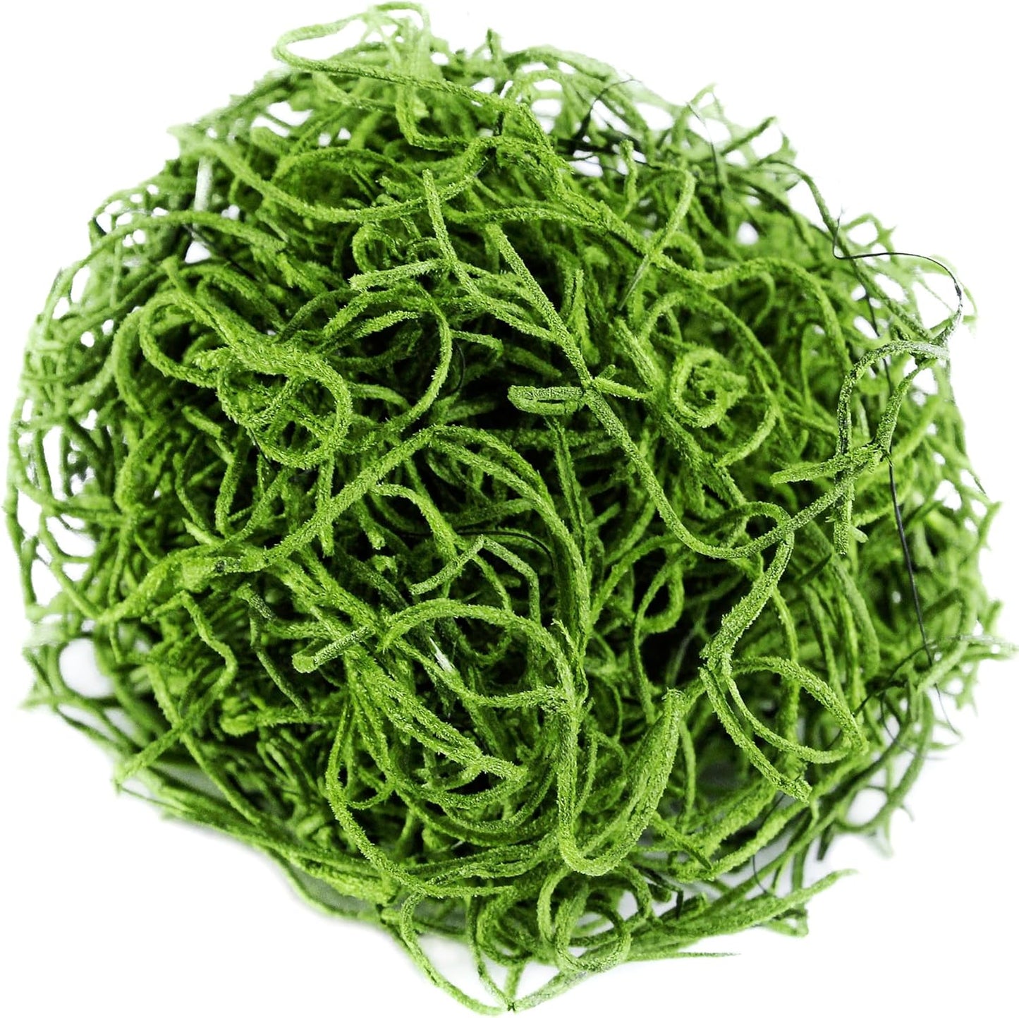 (26907) Spanish Moss Preserved, Grass, 4oz, 120 cubic in Bag (Appx. 4oz) (7 59834 26907 6) | Decorative Moss for Crafts, Potted Plants & Fairy Gardens, Vase Filler & Floral Arrangements, Indoor/Outdoor Garden Projects