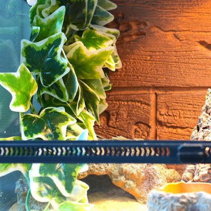 Reptile Terrarium Hanging Plant, 12'' Hiding and Climbing Fake Plants Vine for Reptile Enclosure, Ideal for Chameleon Bearded Dragon Lizard Gecko Tank Accessories