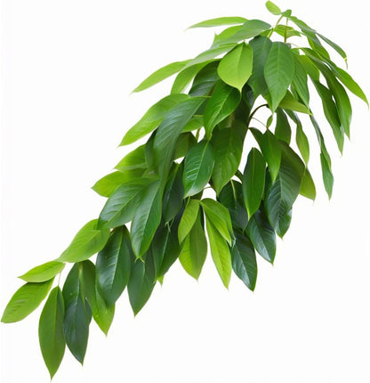 Reptile Terrarium Hanging Plant, 12'' Hiding and Climbing Fake Plants Vine for Reptile Enclosure, Ideal for Chameleon Bearded Dragon Lizard Gecko Tank Accessories