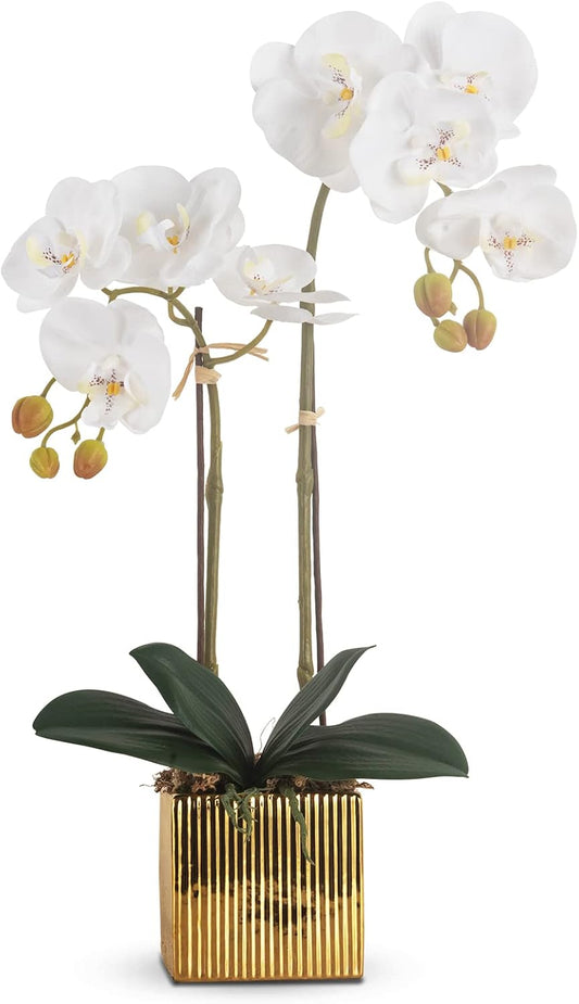 Artificial Orchid Flowers Potted in Ceramic Pot, White Faux Phalaenopsis Orchids for Table Centerpiece, Realistic Fake Flower in vase for Home Office Decor Indoor