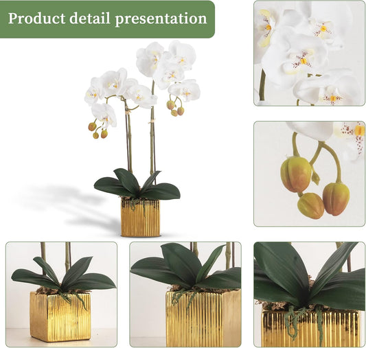 Artificial Orchid Flowers Potted in Ceramic Pot, White Faux Phalaenopsis Orchids for Table Centerpiece, Realistic Fake Flower in vase for Home Office Decor Indoor