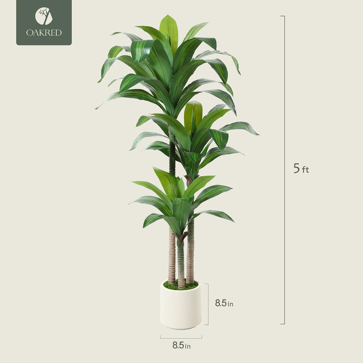 Artificial Dracaena Tree 6ft, Tall Fake Dracaena Plants with White Planter, Faux Dragon Tree Indoor Floor Plant for Home Decor Office Living Room Porch Housewarming, 1Pcs