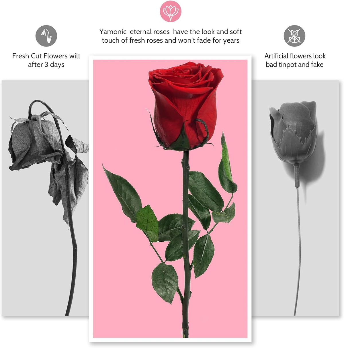 Preserved Flowers Rose Gifts for Women Mom, Mothers Day Rose Flower Gifts for Moms,Forever Real Flowers Mom Birthday Grandma Gifts, Valentines Day Gift for Her Girlfriend Wife Anniversary(Red)