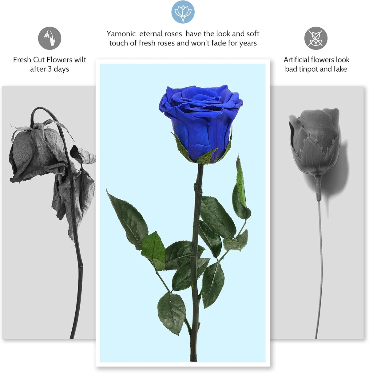 Preserved Flowers Rose Gifts for Women Mom, Mothers Day Rose Flower Gifts for Moms,Forever Real Flowers Mom Birthday Grandma Gifts, Valentines Day Gift for Her Girlfriend Wife Anniversary(Red)
